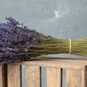 Lavendelstrauss